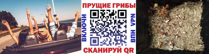 мега ТОР  Певек  Галлюциногенные грибы Magic Shrooms  купить  